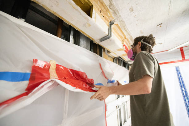 Best Mold Documentation for Insurance Claims  in Breckenridge, MN