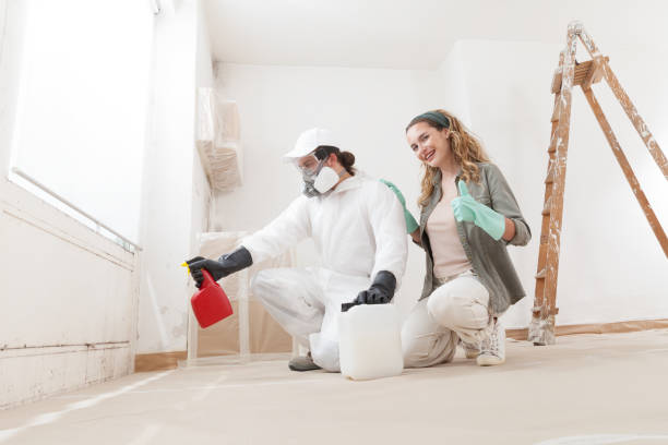 Breckenridge, MN Mold Removal Company