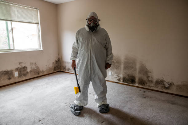 Best Post-Construction Mold Inspection  in Breckenridge, MN